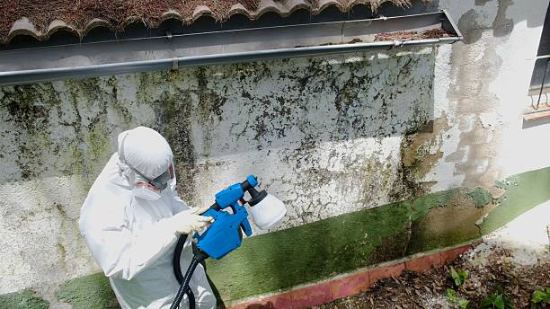 Top rated local Commercial Mold Remediation specialists in Winchester, MA